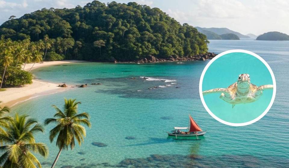A unas horas de São Paulo, esta isla de aguas cristalinas es las «Maldivas brasileñas» y esconde un barco hundido en Paraty