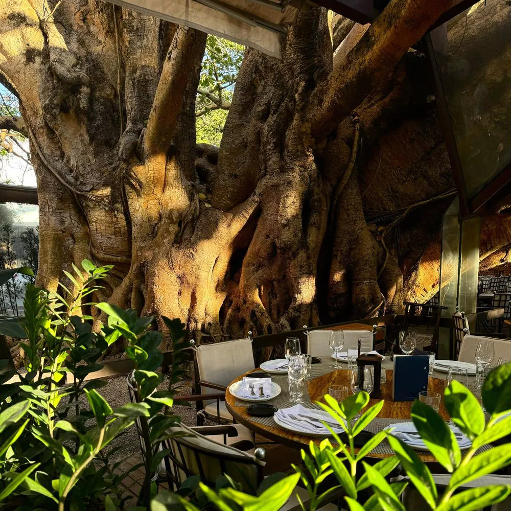 los restaurantes más bonitos de São Paulo