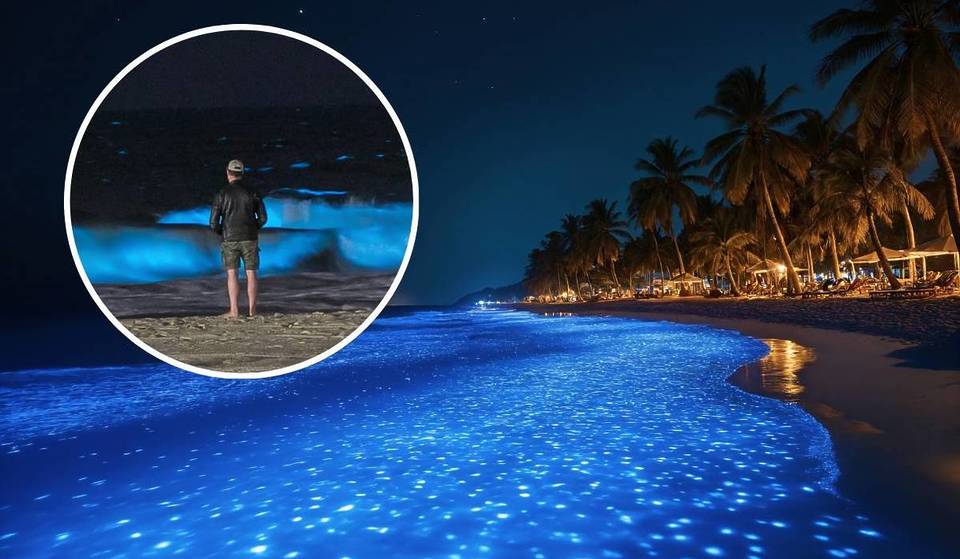 The rare phenomenon that makes the waves “catch fire” on the São Paulo coast: find out where to see the sea glowing in the dark