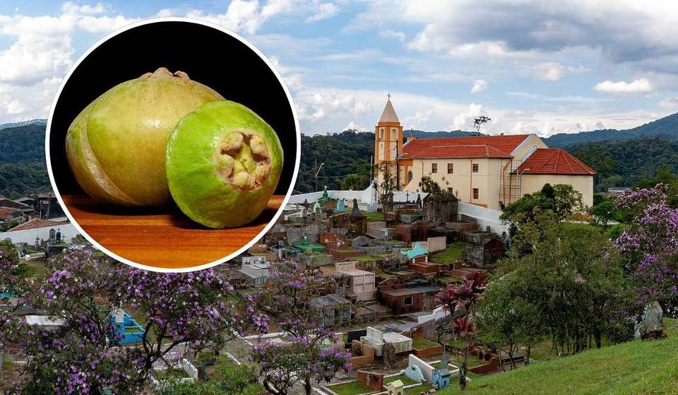 A solo una hora de São Paulo, este pueblo histórico acoge un festival gratuito con coxinhas, helados e incluso cachaça de cambuci
