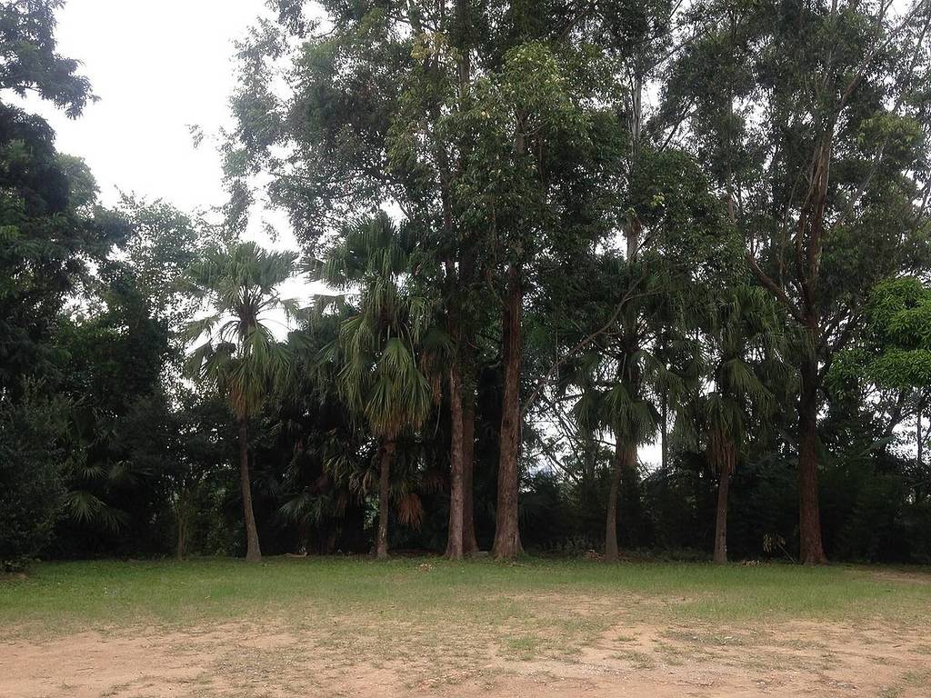 Morrinhos Park, North Zone, São Paulo