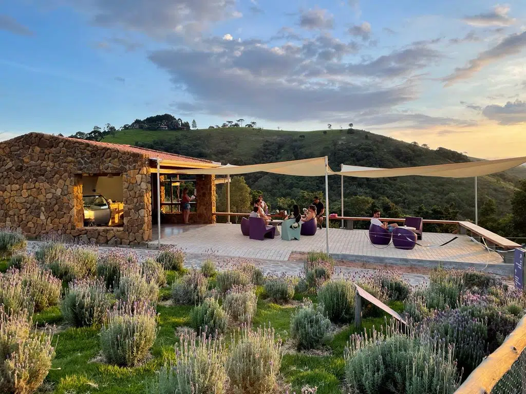 the lavandário cunha lavender field interior sp