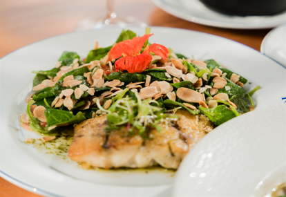 roi méditerranée Pascua en São Paulo