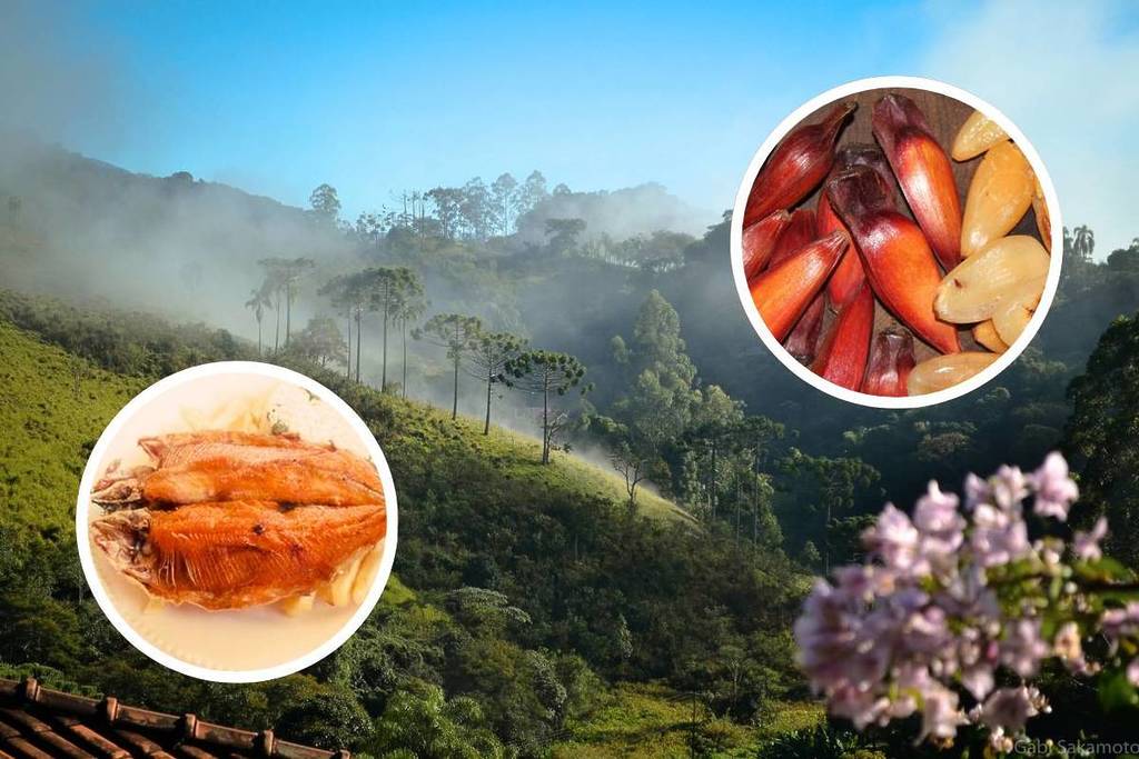 festival da truta e do pinhão santo antônio do pinhal interior sp