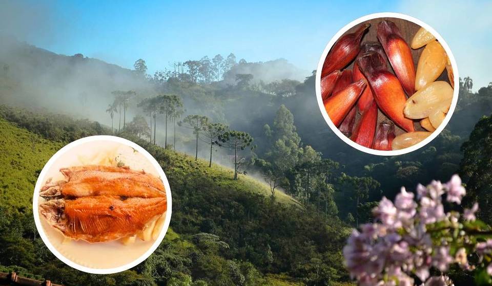 A solo 2 horas de São Paulo, esta pequeña ciudad en la Serra da Mantiqueira acoge un festival gratuito con recetas exclusivas de trucha y piñones
