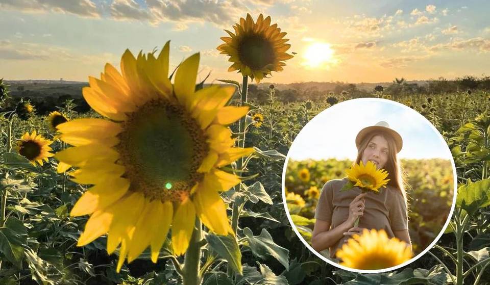 A solo una hora y media de São Paulo, este mar de 50 000 girasoles esconde la puesta de sol más bonita del estado (¡y puedes visitarlo gratis!)