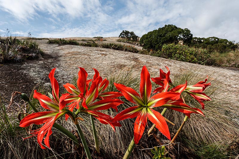 Monumento Natural Estadual da Pedra Grande, em Bragança Paulista
