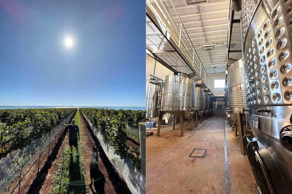 Casa Soncini Syrah Rosé 2024 vino bodega interior sp premio Vinalies Internationales