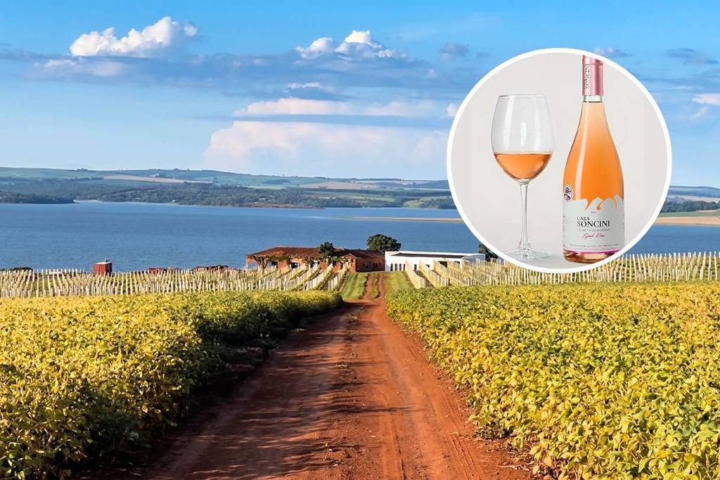 Casa Soncini Syrah Rosé 2024 vinho vinícola interior sp prêmio Vinalies Internationales