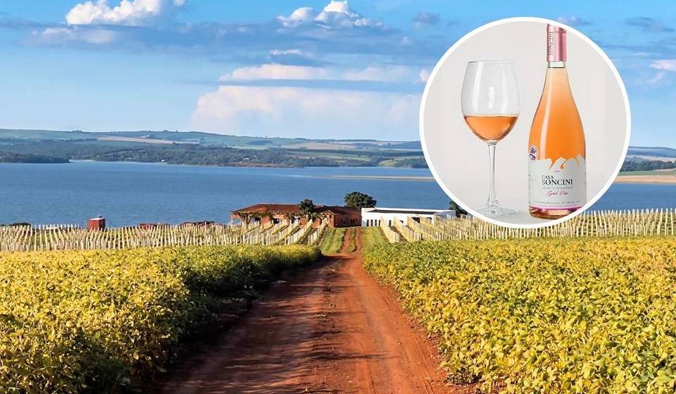 Un vino del interior de São Paulo gana la medalla de oro en Francia y supera a las marcas europeas en una premiación histórica