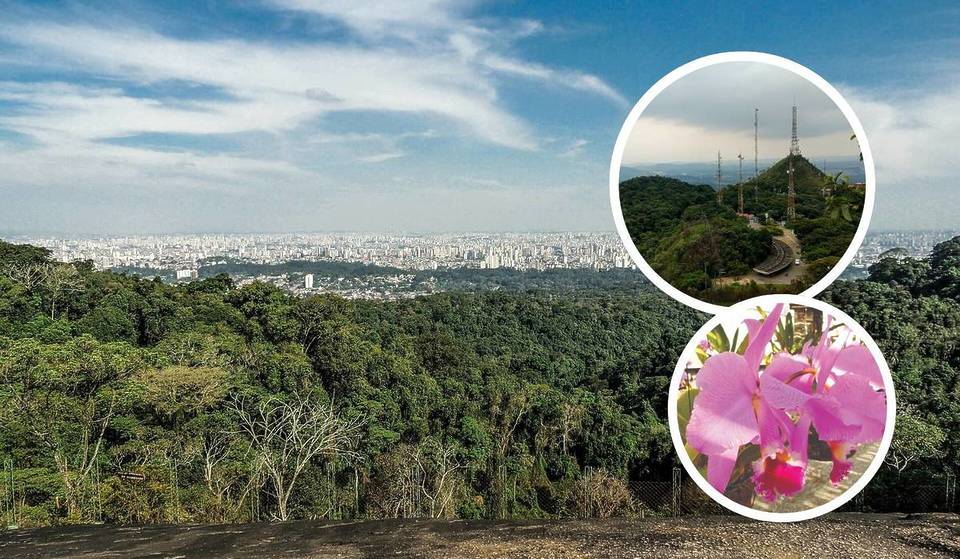 With waterfalls and dense forest, this state park in São Paulo is home to one of the largest urban forests in the world
