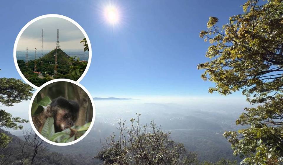 Este patrimônio da UNESCO em SP esconde casarão de 1530, tanques de ouro dos bandeirantes e mirante a 1.135 metros de altura