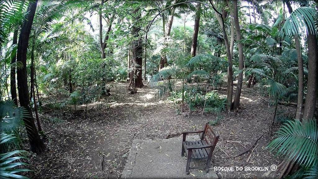 bosque do brooklin qué hacer en la línea 17 oro metro sp