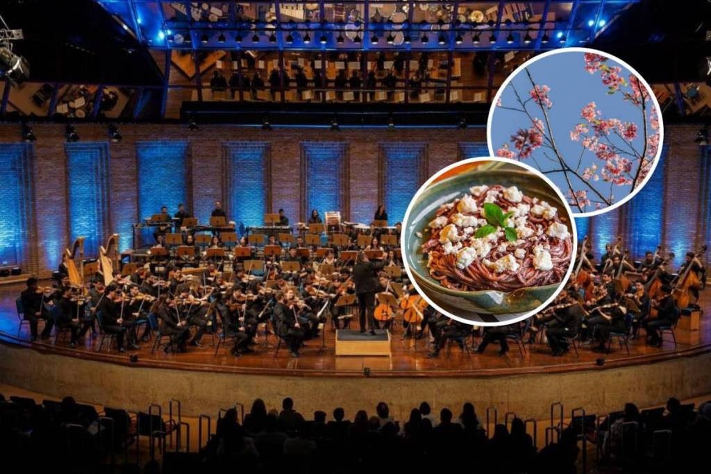 festivals in the interior of São Paulo 2026