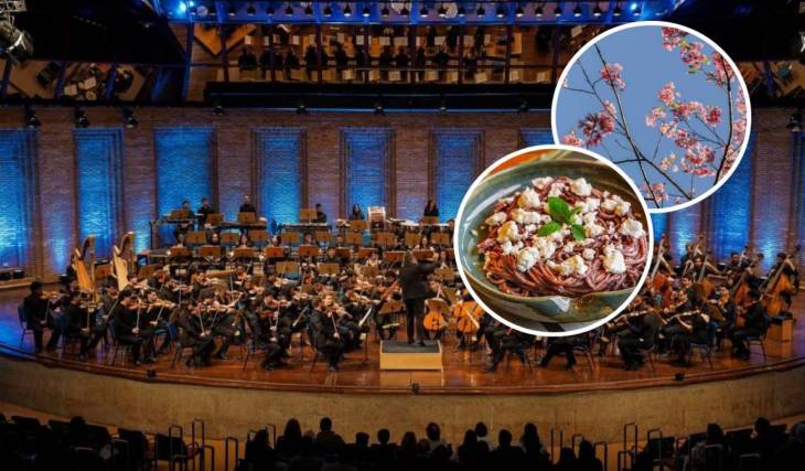 Desde conciertos gratis hasta cerezos en flor: descubre los festivales con más encanto del interior de São Paulo que empiezan ahora en 2026