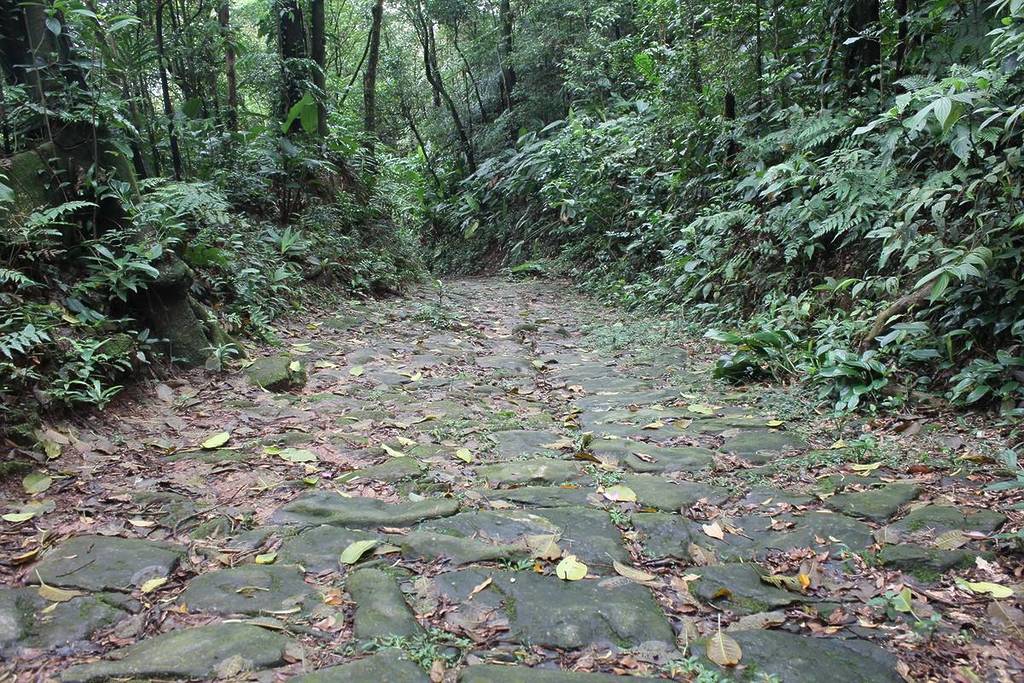 Lorena Walkway Serra Trail Park Caminhos do Mar SP