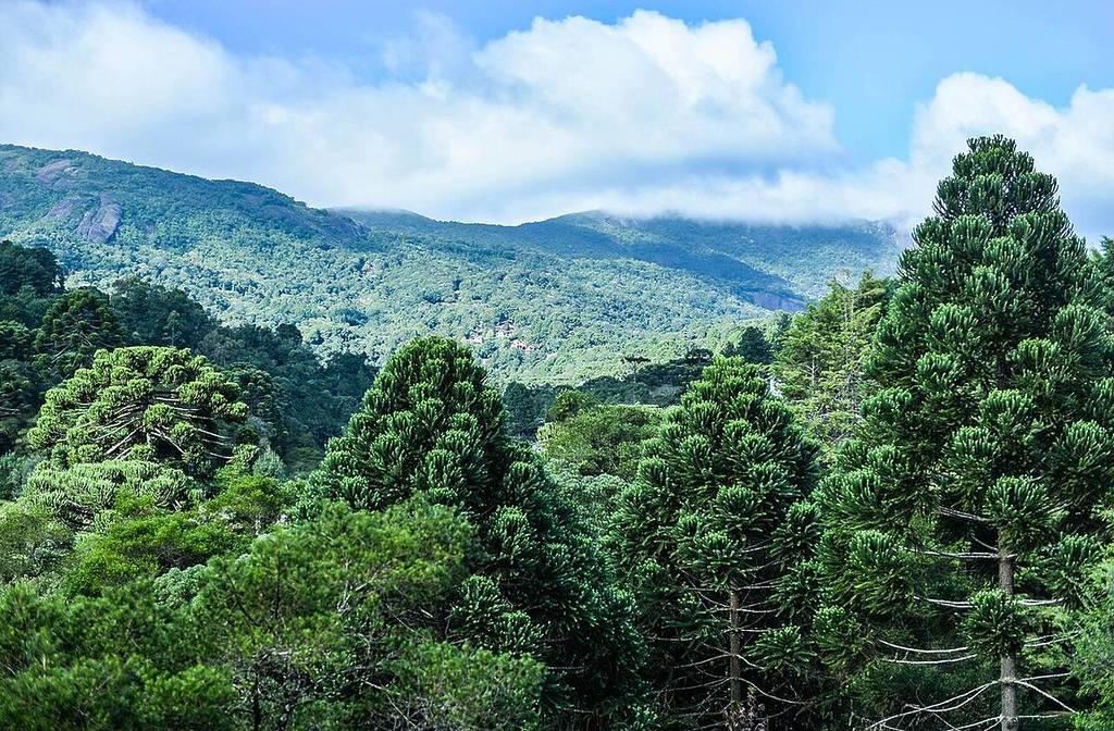 monte verde serra da mantiqueira lugares para viajar no frio mg sp