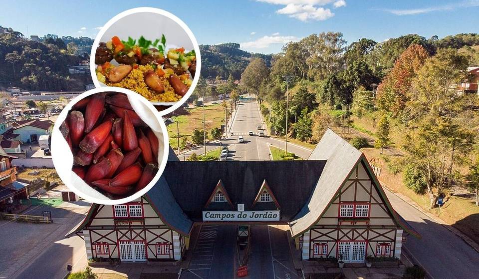 Desde helados hasta hamburguesas de piñón: descubre la fiesta gratuita a dos horas de São Paulo que celebra el «oro» de la Serra da Mantiqueira
