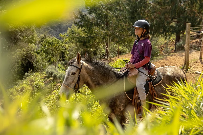 horseland what to do in camanducaia