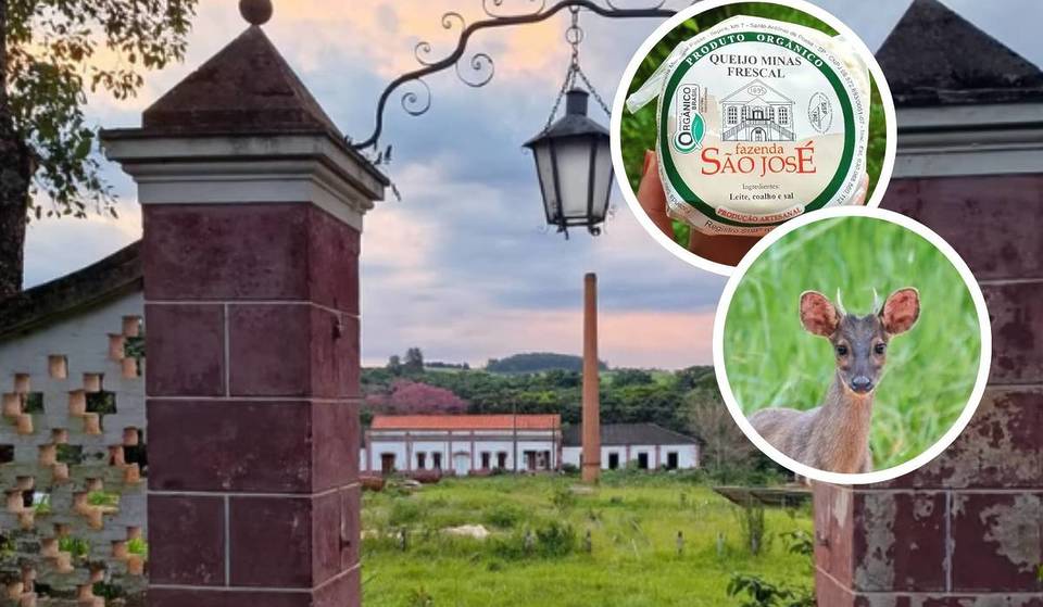 A cerca de 2h de SP, fazenda histórica de 1895 oferece entrada gratuita e café da manhã colonial com queijos da Rota do Queijo