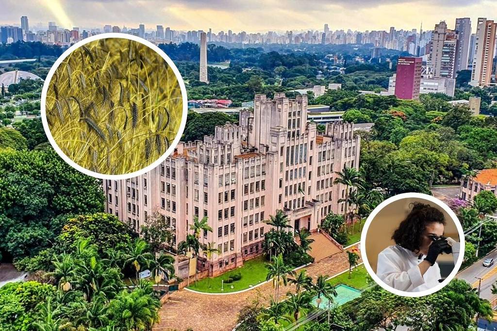 the world’s largest urban coffee plantation