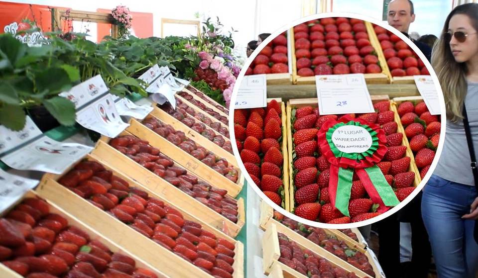 A menos de 1 hora de SP: a cidade tranquila que esconde um festival gratuito com feira de frutas direto do produtor