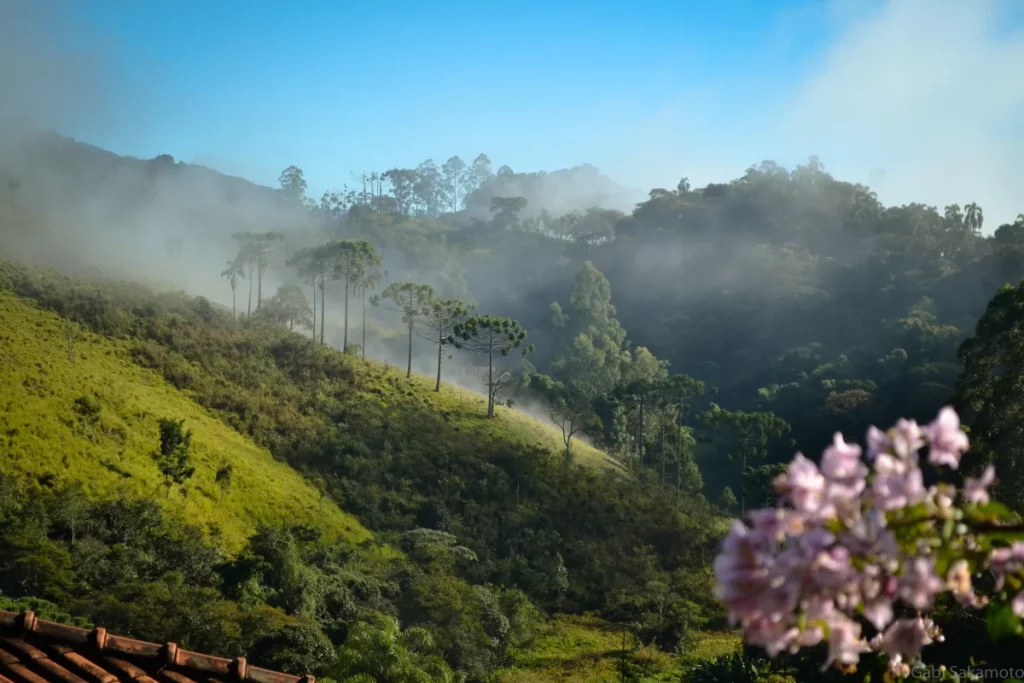 Santo Antônio do Pinhal, interior de São Paulo, lugares para visitar en el frío invierno de São Paulo