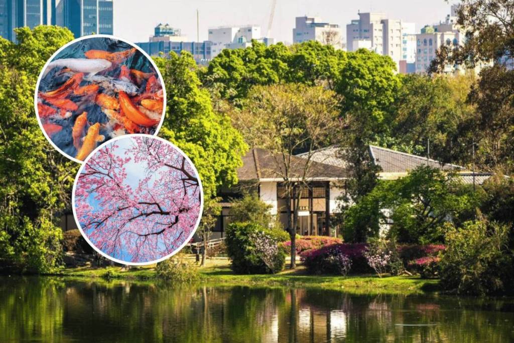 pavilhão japonês do ibirapuera jardim museu japão ingresso são paulo