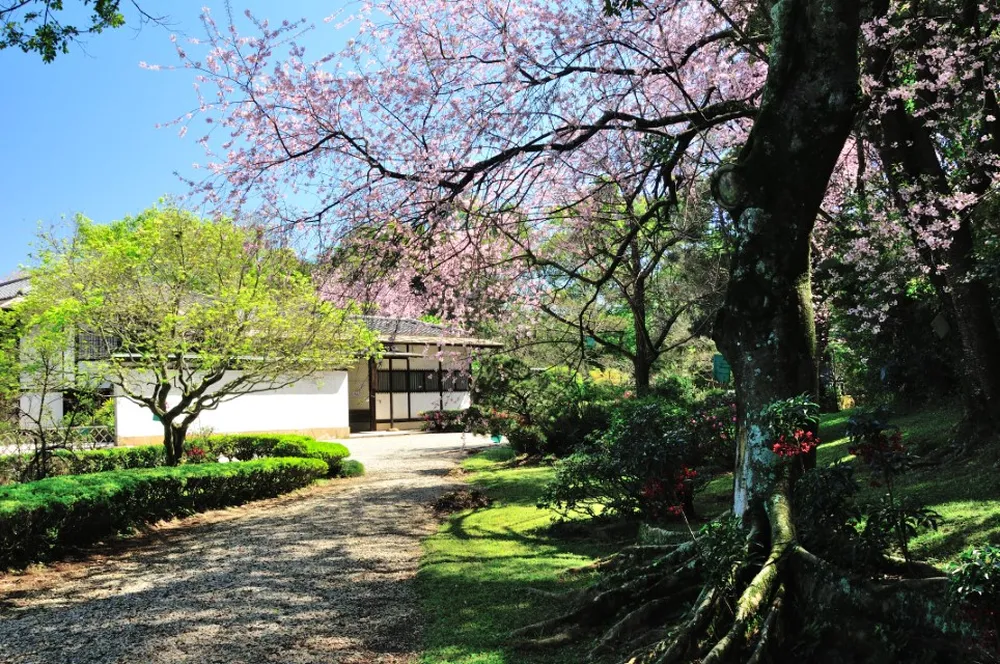 pavilhão japonês do ibirapuera jardim museu japão ingresso são paulo