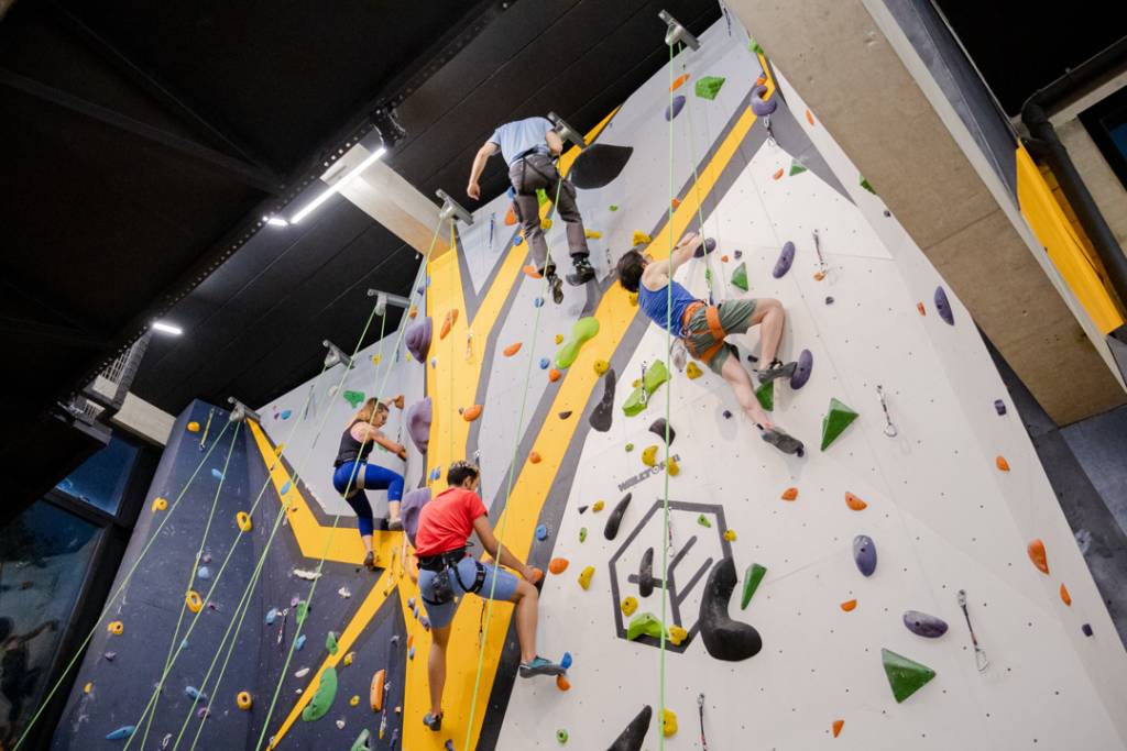 treelab: dónde practicar escalada en São Paulo