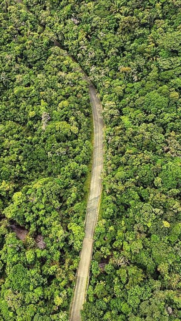 São Paulo’s first park highway features eco-friendly “asphalt,” lookout points in the Serra da Macaca, and restricted hours to protect animals in a rural park