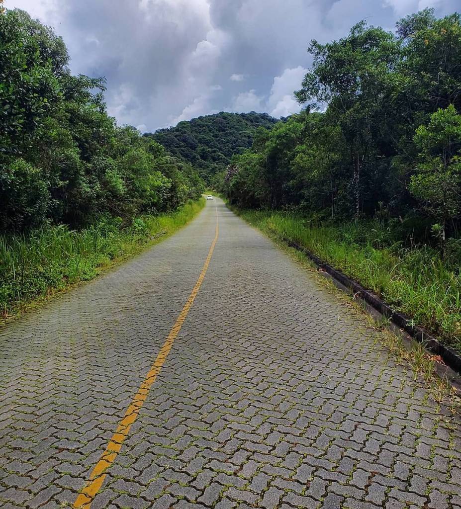 sp 139 carretera Neguinho Fogaça parque estatal Carlos Botelho interior de São Paulo las carreteras más bonitas