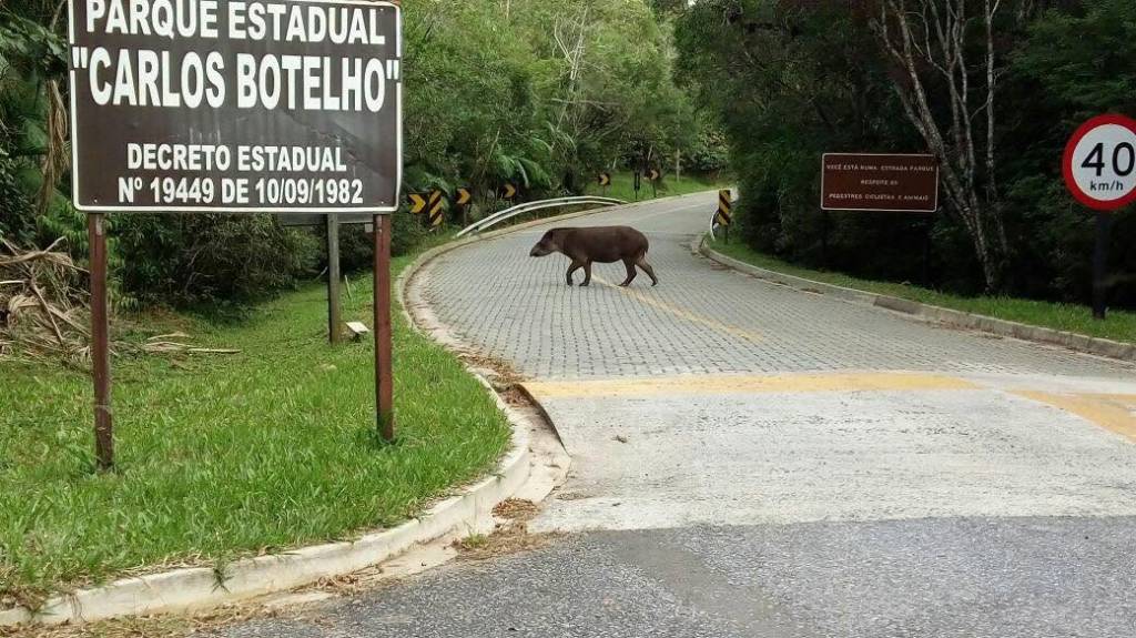 sp 139 carretera Neguinho Fogaça parque estatal Carlos Botelho interior de São Paulo las carreteras más bonitas