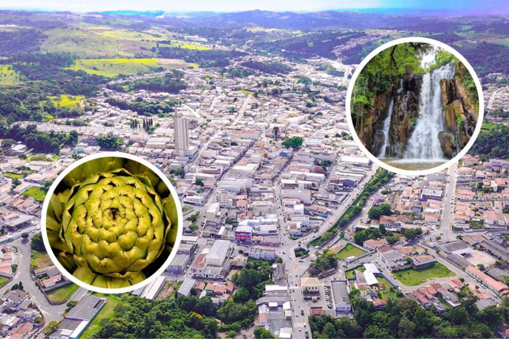 Piedade, the National Artichoke Capital