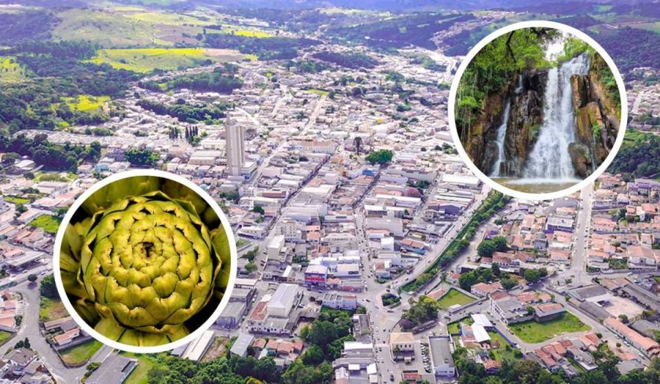 A apenas 130 km de SP, a “Capital Nacional da Alcachofra” guarda cachoeiras, roteiros de colha e pague e forte influência da cultura japonesa