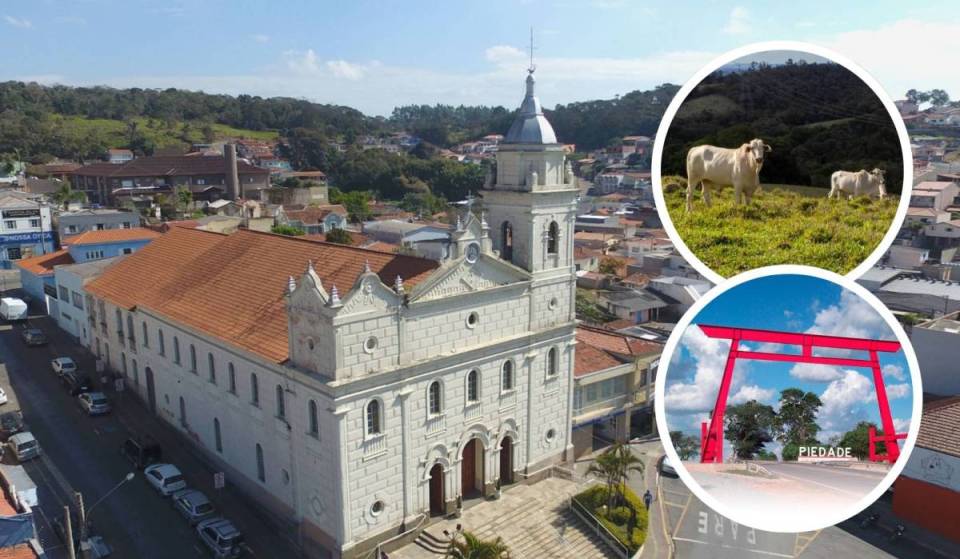 La ciudad de las alcachofas: este refugio cerca de São Paulo tiene vistas a la Pedra do Elefante, un pórtico japonés y fincas con un sistema de «recoge y paga» de fruta