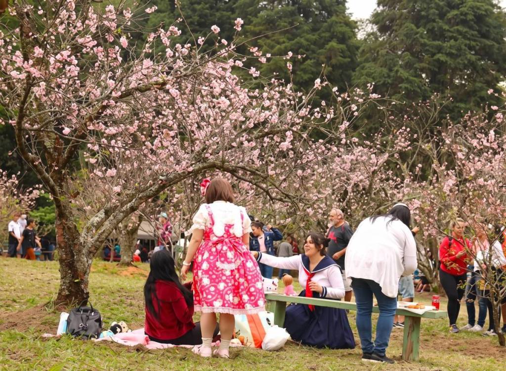 festa da cerejeira de garça 2026 festival japonês sakura matsuri interior são paulo