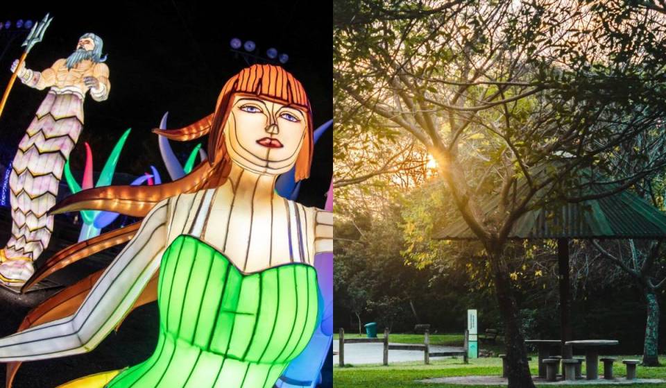 From a former run-down area to an enchanted forest: São Paulo’s beloved park features 17 interactive areas spread across 20,000 square meters of lights and magic