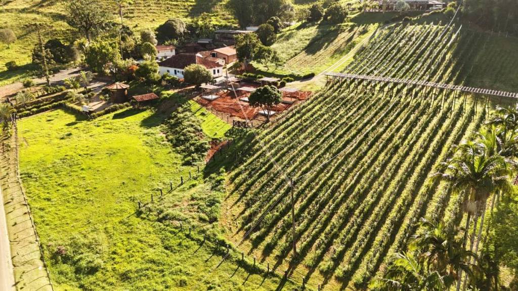 Bodegas en Serra Negra. La familia Silotto, en el interior de São Paulo