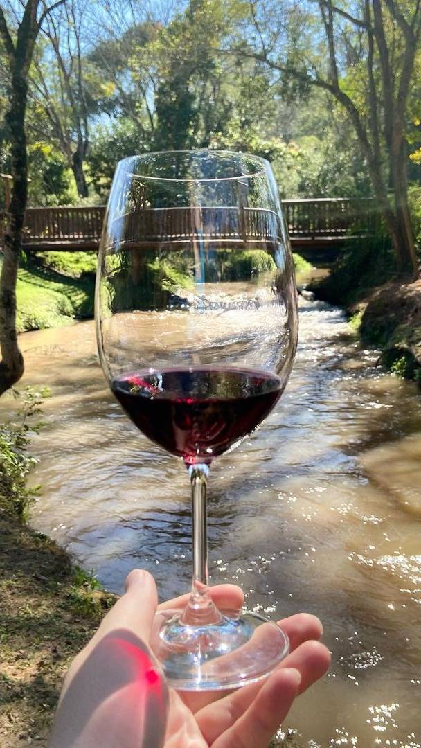 A solo 60 km de São Paulo: la ciudad colonizada por italianos que conquistó hasta el paladar de los papas, con 14 bodegas y vinos artesanales