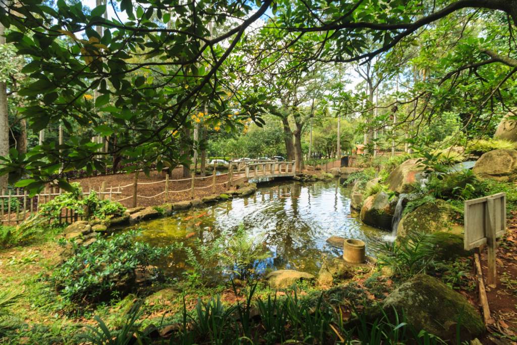 Parque Ecológico de Vila Prudente 2: qué hacer en la línea 15-Plata del monorraíl