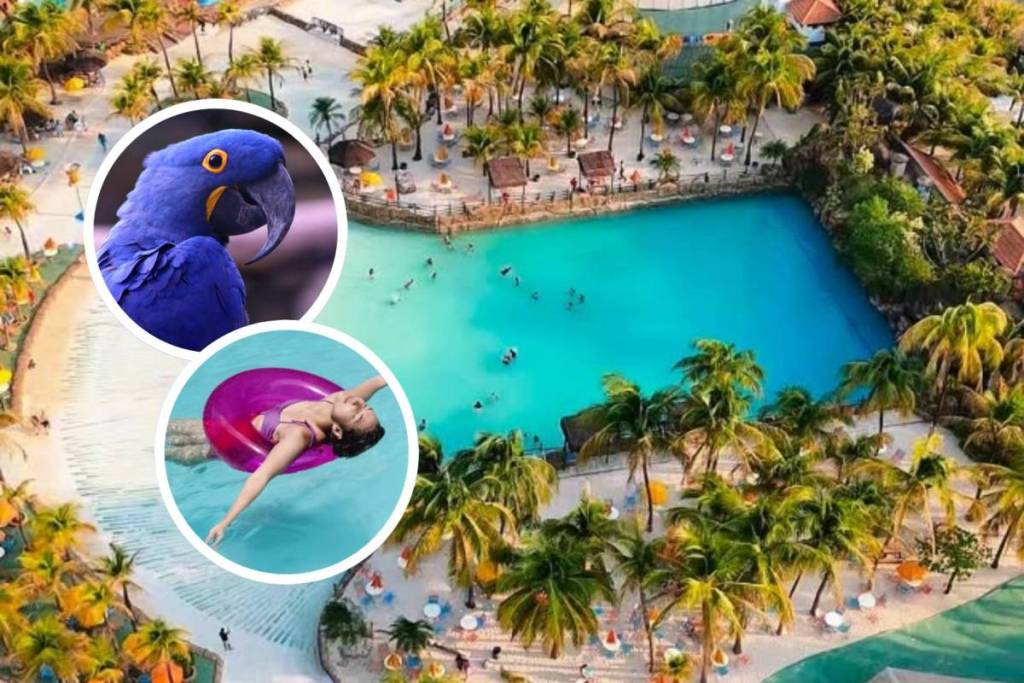 Thermas dos Laranjais, the most visited water park in the Americas, in Olímpia