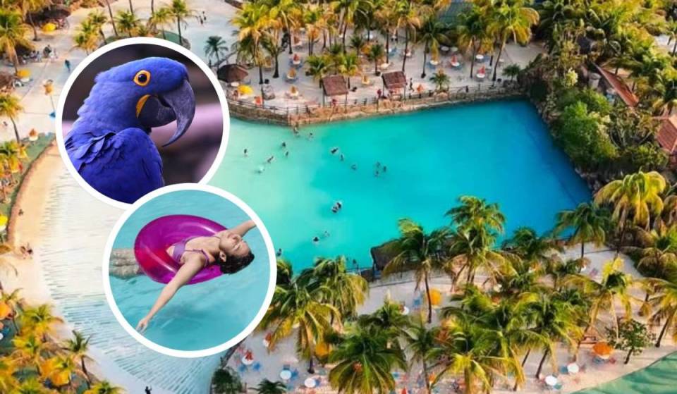 El parque acuático más visitado de las Américas atrae a 2 millones de personas en invierno con aguas de hasta 38 °C y entradas a partir de 95 R$