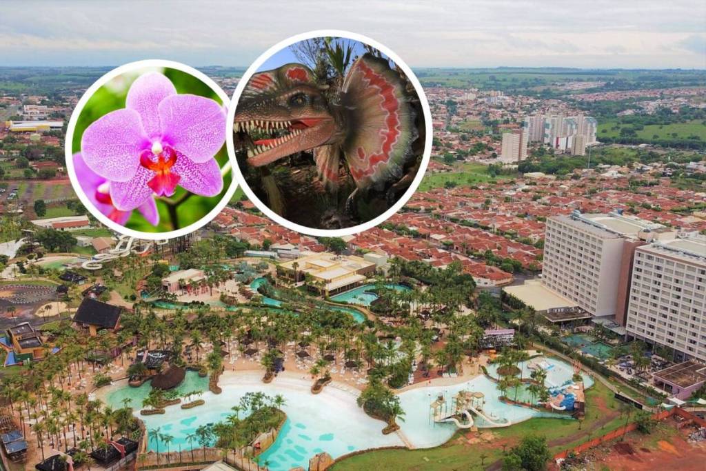 Olímpia, un refugio para quien quiera escapar del frío de São Paulo