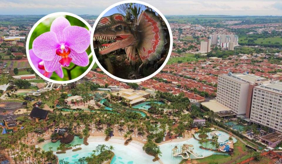 Con sus aguas termales y su playa artificial, la «Orlando brasileña» atrae a 3 millones de turistas y se convierte en un refugio para quienes quieren escapar del frío de São Paulo