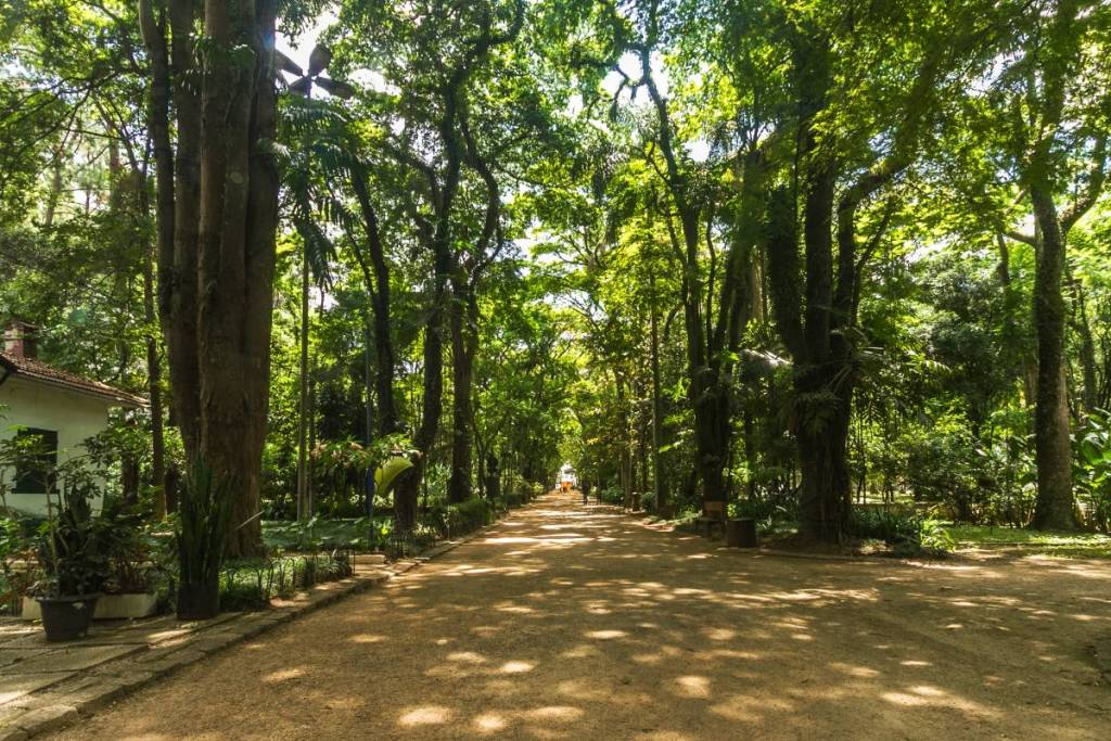 parque piqueri o que fazer estações linha 11-coral são paulo