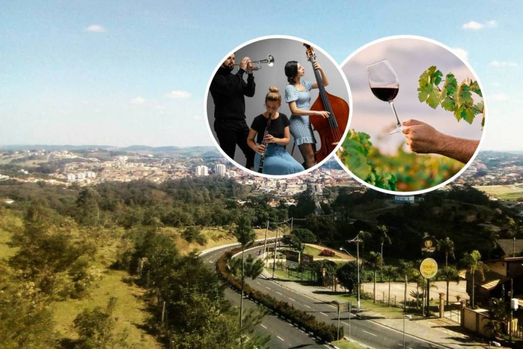 Vinhedo Winter Festival 2026 São Paulo countryside free wineries