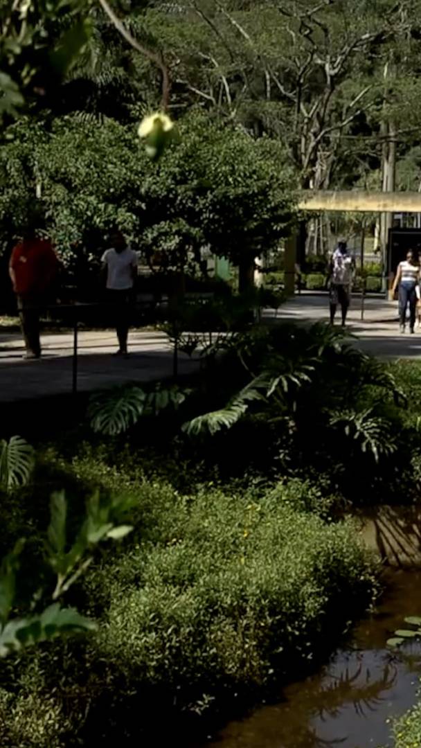 Hasta 800 ríos discurren ocultos bajo el asfalto de São Paulo: un mapa del subsuelo paulistano revela cursos de agua sofocados por el hormigón