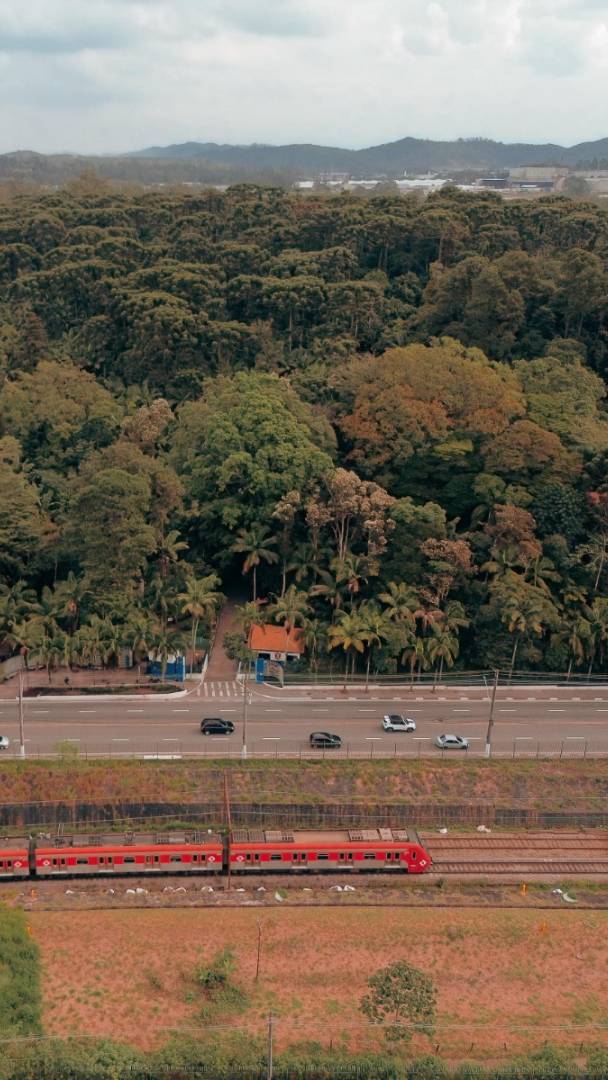 Una ruta por la Línea 10-Turquesa de la CPTM que incluye parques gratuitos y atracciones culturales a partir de 8 reales en São Paulo y en el ABC