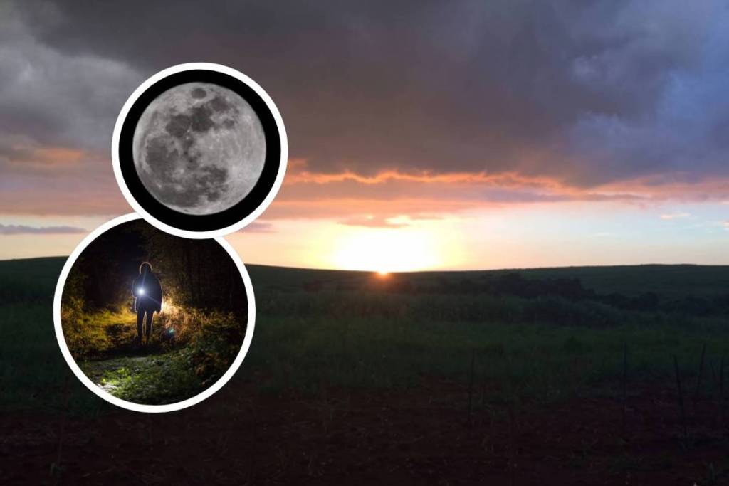 A nighttime hike through Brazil’s second-largest urban forest attracts visitors to the interior of São Paulo on full moon nights 